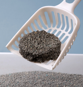 Litière pour <span class=keywords><strong>chat</strong></span> en bentonite de forme sphérique, à faible poussière, écologique, naturelle, à forte agglomération, blanche, parfum personnalisé, 10L, <span class=keywords><strong>filtre</strong></span> - Product Image 6