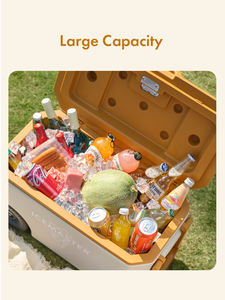 Glacière spacieuse TREK 38L avec compartiments séparés pour aliments, fruits et boissons - Product Image 5