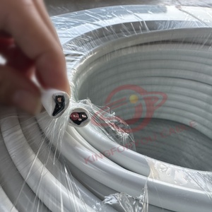 <span class=keywords><strong>2</strong></span> <span class=keywords><strong>3</strong></span>芯BVVB铜芯电线电缆6242y 4mm 6mm 10mm扁平<span class=keywords><strong>2</strong></span>.5mm双芯地线电缆 - Product Image 2