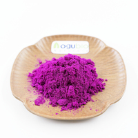 Biologisch Gevriesdroogd Drakenfruit Poeder Superfood Oem Private Label Veganistisch Gevriesdroogd Rood Dragon Pitaya Fruitpoeder