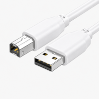Kabel Printer USB 2.0 Pabrik Cina 0.5m Cetakan Pribadi Warna dan Panjang Sesuai Pesanan