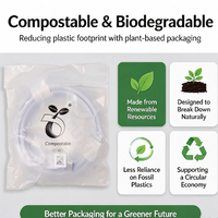 Sac biodégradable durable, compostable, auto-adhésif, en gros, avec logo personnalisé pour accessoires électroniques
