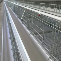 Заводская цена, новейшее высококачественное сельскохозяйственное оборудование для разведения многослойной курицы