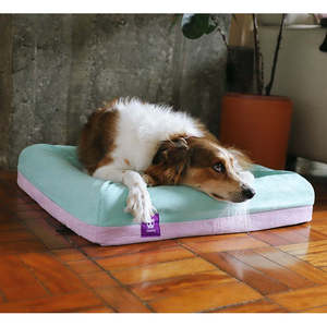 Lotus Kennel Liner Pet <b>Bed</b> Mat Waterproof Easy Clean Dog Crate <b>Pad</b> - Product Image 5
