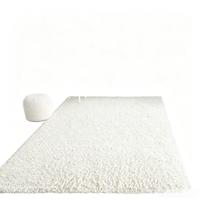 Tapis shaggy blanc en polypropylène antidérapant, moquette douce et moelleuse pour salon, chambre à coucher, couleur unie, tapis de sol intérieur