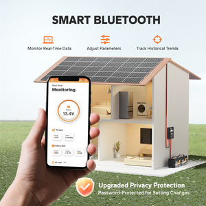 Contrôleur de <span class=keywords><strong>charge</strong></span> solaire Bluetooth LiTime à efficacité énergétique maximale 100A MPPT 12V/24V/36V/48V - Product Image 3