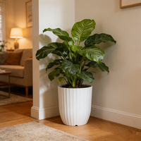 Grands pots en plastique pour plantes d'intérieur, pots à fleurs blancs, jardinières d'extérieur avec trou de drainage