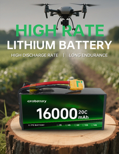 Paquete de Baterías del Fabricante 3.7V 6S 22.2V 8S 29.6V 16000mAh 10000mAh 18000mAh para Pulverizador Agrícola con XT30 XT60 10000mAh-6S Lipo - Product Image 4