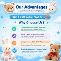 Jouets en peluche personnalisés OEM/ODM, sacs à dos en peluche de haute qualité, fabricant de jouets en peluche, cadeaux d'anniversaire pour enfants
