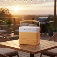 Glacière de camping 8L 19L 29L pour voiture, boîte de rangement isotherme pour aliments, glacière de pique-nique extérieure avec porte-bouteille