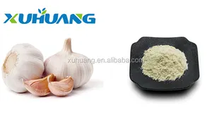 Xuhuang कार्बनिक Allicin 1% ताजा लहसुन निकालने पाउडर
