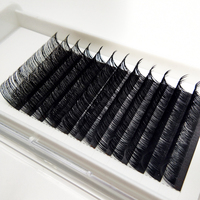 Extensions de cils, greffe de cils individuels, plateau de cils personnalisé, extensions de cils courbure CC DD, vison 20MM, fourrure de vison, volume intense, OEM ODM T/T