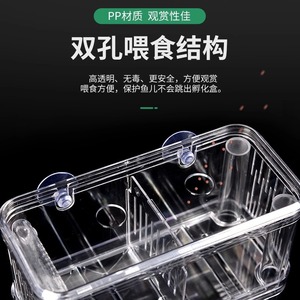 Caja de cría para peceras, caja de aislamiento para guppys, caja de cría para alevines de peceras pequeñas, dispositivo de reproducción de <span class=keywords><strong>peces</strong></span> - Product Image 3