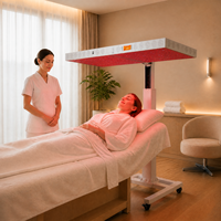 Importateurs de dispositifs médicaux MDL TGA, système de luminothérapie professionnel tout-en-un, lit de luminothérapie rouge pour hôtel SPA