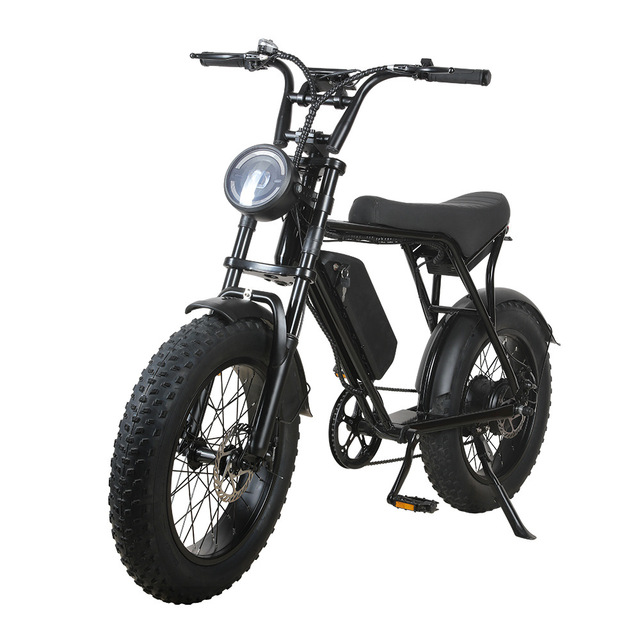 Factory Direct 20 Inch Retro Beach Mountain Bike Brushless 48V Lithium Battery Fat Tire Power Electric Bicycle
