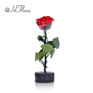 Venta al por mayor de flores rosas naturales preservadas con tallo largo real Rosa Día DE LA MADRE boda Vida eterna flor Material regalo - Product Image 4