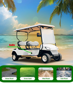 Bán chạy nhất off road 4 Hành khách điện tham quan Xe golf tiện ích xe đường pháp lý lỗi - Product Image 6