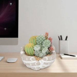 Mezcla <span class=keywords><strong>de</strong></span> <span class=keywords><strong>Cactus</strong></span> y Suculentas Artificiales en Maceta Texturizada, Decoración <span class=keywords><strong>de</strong></span> Desierto Artificial para el Hogar, Oficina, <span class=keywords><strong>Mesa</strong></span> Interior - Product Image 5