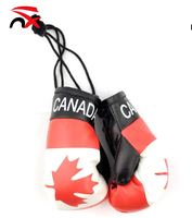 Porte-clés mini-gants de boxe personnalisés drapeau haïtien, très demandés, pour voitures
