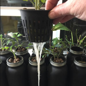 Maceta de plástico transparente <span class=keywords><strong>para</strong></span> orquídeas, maceta hidropónica transpirable, especial <span class=keywords><strong>para</strong></span> orquídeas Phalaenopsis - Product Image 6