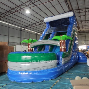 Glissières gonflables commerciales <span class=keywords><strong>de</strong></span> glissière gonflable <span class=keywords><strong>de</strong></span> glissière d'eau adulte extérieure avec la <span class=keywords><strong>piscine</strong></span> - Product Image 6