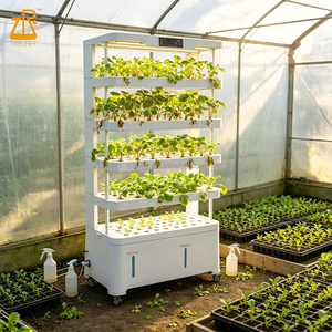 Système de culture verticale, système hydroponique d'intérieur, jardin en tour, jardin d'intérieur intelligent, jardinière intelligente, tour de culture <span class=keywords><strong>avec</strong></span> éclairage, tour à tomates - Product Image 6