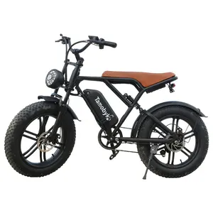 High Quality 20 Inch Outdoor Electric Fat Tire Bike Road Electric Hybrid Bike Mountain China Electric Bikes