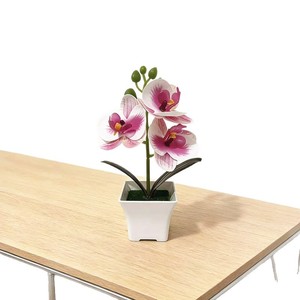 Orquídea Phalaenopsis Artificial Paulon en Maceta de Plástico de 19 cm de Alto para Decoración del Hogar y Accesorios de Fotografía - Product Image 5