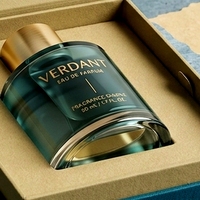 Boîte à parfum rigide de luxe personnalisée, style livre vert magnétique, pour une seule bouteille, présentation élégante