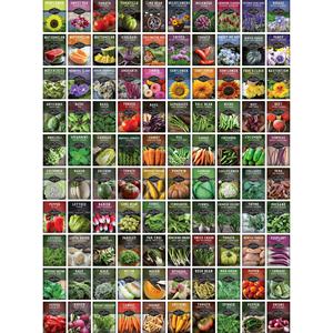 Lot de 100 variétés de légumes et <span class=keywords><strong>d</strong></span>'herbes anciennes non-OGM pour la survie à domicile et la culture en terrariums de jardins de guerre - Product Image 2