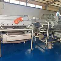Máquina de lavado por corrientes cruzadas HiLeafy para verduras, equipo de limpieza por burbujas para espinacas y lechuga, para procesamiento en fábricas de ensaladas