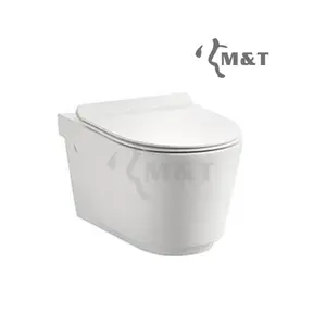 理想标准卫生间高品质陶瓷浴室卫生间壁挂式卫生间