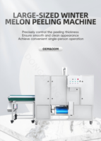 Commerciële machine voor het schillen en ontpitten van jackfruit, ananas, pomelo, jong fruit, raap, papaja en wintermeloen.