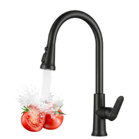 Robinet mélangeur de cuisine économique en plastique ABS noir mat Leelongs