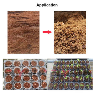 Presse à bande filtrante pour la déshydratation de la fibre de coco, équipement de déshydratation de la coco, grande capacité - Product Image 4
