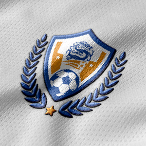 サッカージャージーチームクラブ昇華サッカーシャツ男性カスタマイズロゴと名前 - Product Image 3