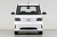 Wuling Sunshine EV 2025 Standard Mini-fourgonnette électrique LHD Véhicule à énergie nouvelle Prêt à être expédié