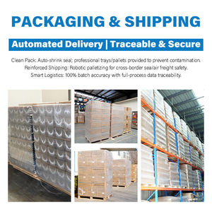 Cartouche en verre borosilicate neutre LINUO GMP Production 1,8 ml, cartouche dentaire 3 ml, cartouche pour stylo injecteur - Product Image 6