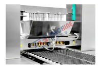Nouveau système de fabrication de bonbons gélifiés axé sur la rentabilité avec automatisation en acier inoxydable, capacité de 300 kg/h pour un retour sur investissement rapide