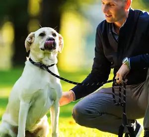 Premium özel hızlı bırakma ayarlanabilir naylon Polyester köpek Martingale güvenli evcil hayvan tasması halat kayma yürüyüş için açar