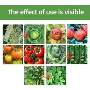 Phosphite de <span class=keywords><strong>potassium</strong></span>, <span class=keywords><strong>engrais</strong></span> hydrosoluble <span class=keywords><strong>riche</strong></span> <span class=keywords><strong>en</strong></span> <span class=keywords><strong>phosphore</strong></span> <span class=keywords><strong>et</strong></span> <span class=keywords><strong>en</strong></span> <span class=keywords><strong>potassium</strong></span>, macronutriments essentiels - Product Image 4
