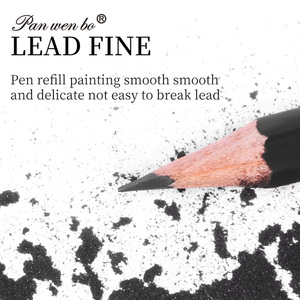 Set Professionale Panwenbo di 12 Matite a Carboncino Standard, Set di Matite in Grafite <span class=keywords><strong>per</strong></span> Artisti e Schizzi - Product Image 3