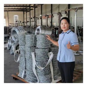 12.5 Gauge galvanizado dois fios arame farpado segurança cerca na Europa - Product Image 4