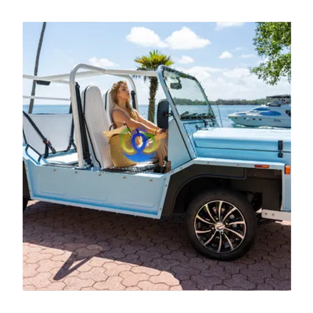 Ecc Certificate Customized Color Mini Moke Body Shell New Energy Vehicles Jeep Ternary Lithium Battery 100km/h Max Speed