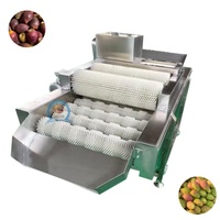 Industriële machine voor het verwijderen van dornen van cactusvijgen, apparatuur voor het ontdoornen en reinigen van cactusvijgen voor voedselverwerking
