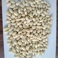 Vente en gros usine : Arachides blanchies IQF de qualité alimentaire, grade A, nouvelle récolte, pour la boulangerie (vente en gros)