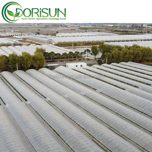 Serre en acier galvanisé à la <span class=keywords><strong>tomate</strong></span> Vente verte Serre agricole Film Agricole Tunnel en plastique Serre en feuille - Product Image 3