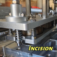 Machine de remplissage, de scellage et d'emballage automatique multifonctionnelle à commande PLC, à économie d'énergie, pour gobelets à glaçons, composants en acier inoxydable