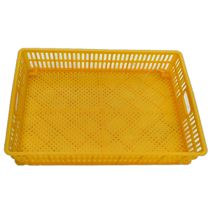 Cestello di Ricambio per Incubatrice Be You, in Plastica PP, Nuovo, per Uso Avicolo - Product Image 6