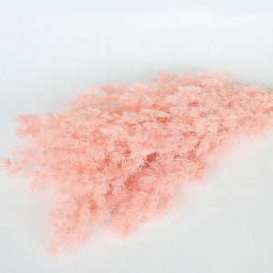 80g all'ingrosso fiori conservati asparagi myrioeladus decorazioni per la tavola di casa conservato felce Ming - Product Image 4